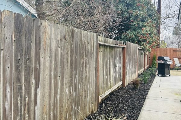 7B680E87-0744-4A27-9A8F-CE0AE6253AED-min