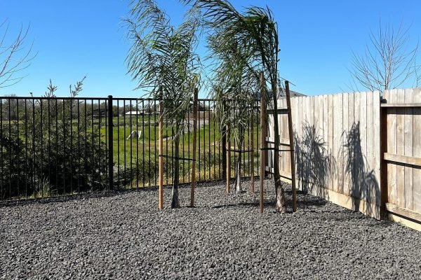 3F611361-A8F9-47B5-AE78-6CCD24344684-min