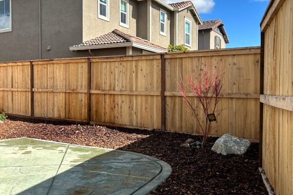 WhatsApp Image 2024-03-07 at 3.18.06 AM