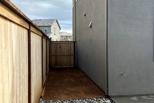 WhatsApp Image 2024-03-07 at 3.18.07 AM