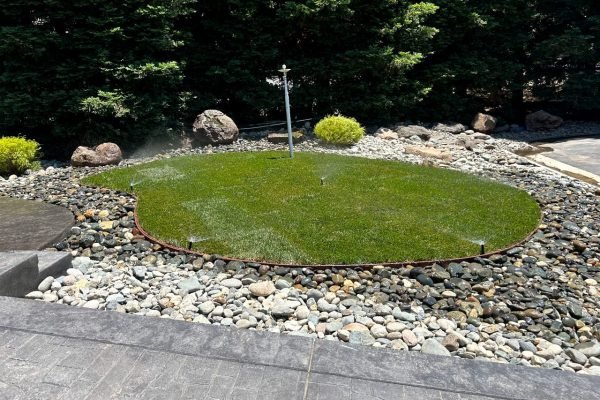 WhatsApp Image 2024-03-07 at 3.18.08 AM