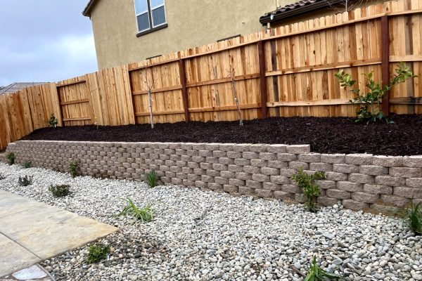 WhatsApp Image 2024-03-07 at 3.18.14 AM