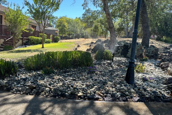 E8FFEAC4-86D6-466F-8C22-56796365834B