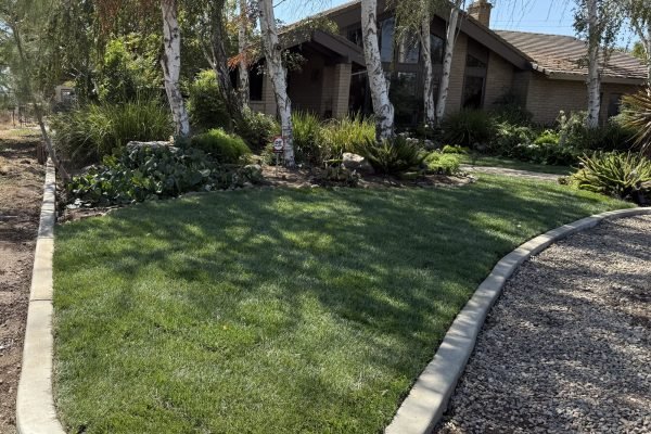 14E0EE61-9F29-4A00-A574-8A392DECC4BF-min