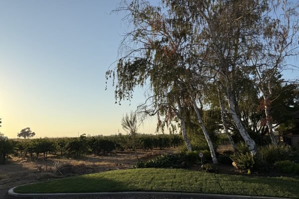 710CD584-C521-4B3B-B427-2FD058F56830-min