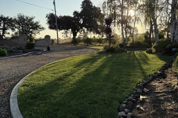 92B1A104-D3F4-447C-AD9B-A2E68095B232-min