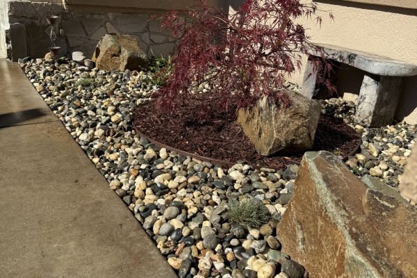 A4F1EDFF-E691-4493-8D78-1FFFA7E6B32F-min