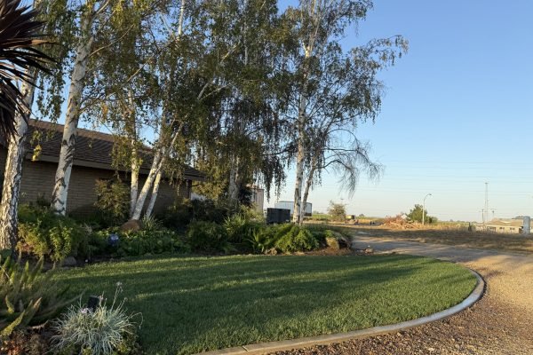 A6B9B3C6-2464-4332-8783-660088428A61-min