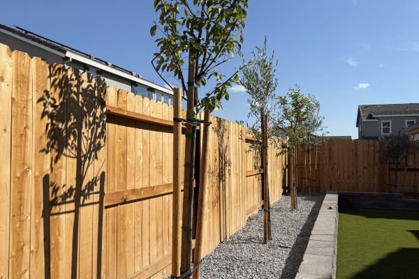 ED70DBCD-F83A-4212-9E24-20A4DBDF229E-min