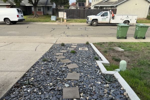 WhatsApp Image 2025-11-27 at 10.58.15 AM (1)