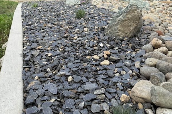 WhatsApp Image 2025-11-27 at 10.58.15 AM (2)