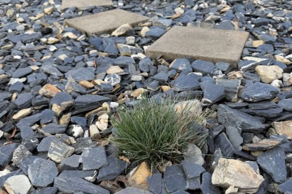 WhatsApp Image 2025-11-27 at 10.58.15 AM