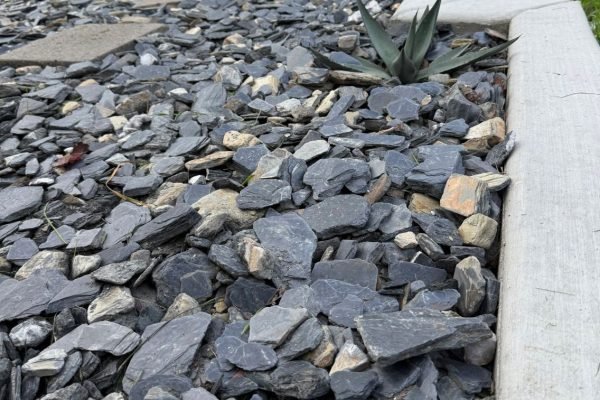 WhatsApp Image 2025-11-27 at 10.58.16 AM (1)