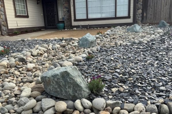 WhatsApp Image 2025-11-27 at 10.58.16 AM (2)