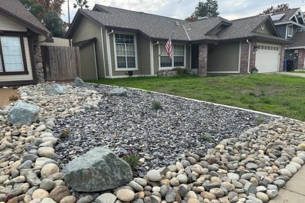 WhatsApp Image 2025-11-27 at 10.58.17 AM (1)