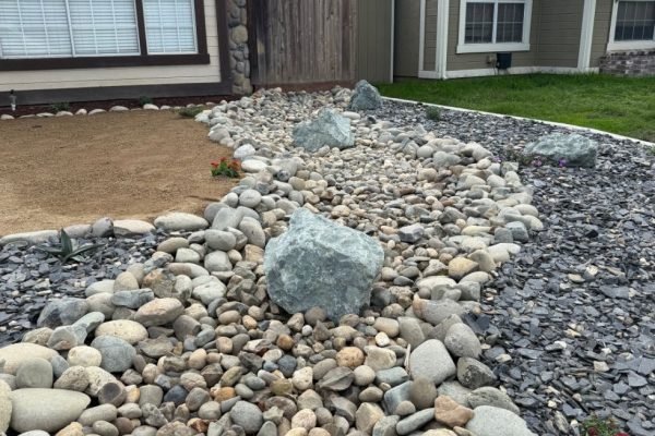 WhatsApp Image 2025-11-27 at 10.58.17 AM