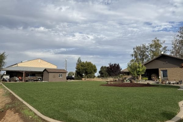 WhatsApp Image 2025-11-28 at 10.36.04 AM (1)