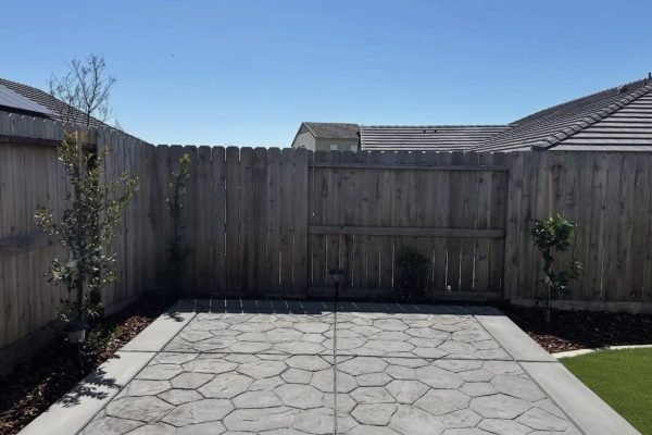 WhatsApp Image 2025-11-28 at 10.36.04 AM