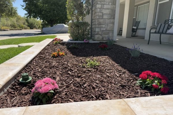 WhatsApp Image 2025-11-28 at 10.36.08 AM (1)