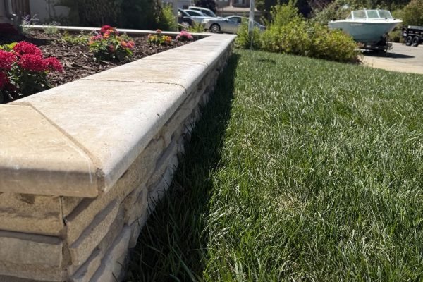 WhatsApp Image 2025-11-28 at 10.36.09 AM (1)