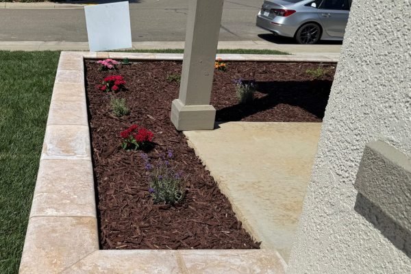 WhatsApp Image 2025-11-28 at 10.36.09 AM