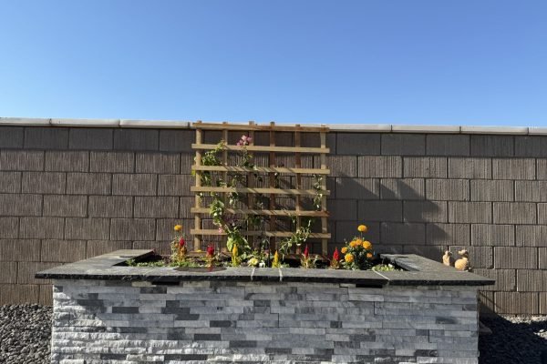 B7846526-B5E5-4D7C-BD00-FF3703F6242D-min